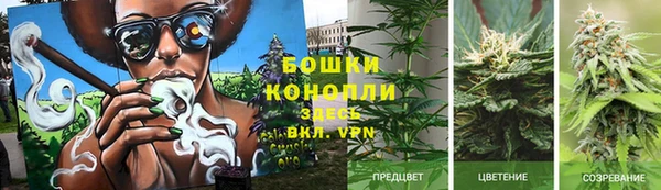 крисы Семилуки