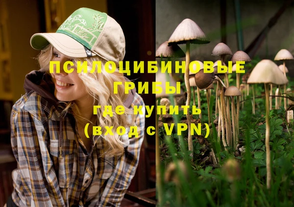 крисы Семилуки