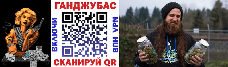 Шишки марихуана планчик  OMG   Горбатов 